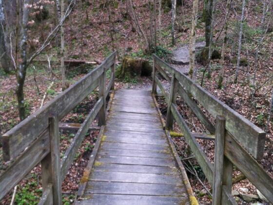 Holzbrücke über den Reitnerbach