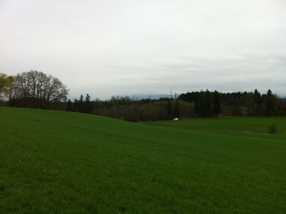 Alpenbanorama vor Achberg