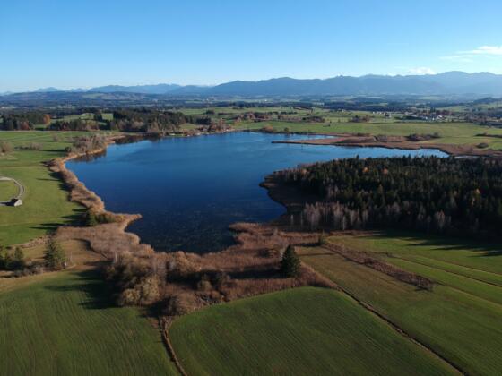 Haslacher See bei Bernbeuren
