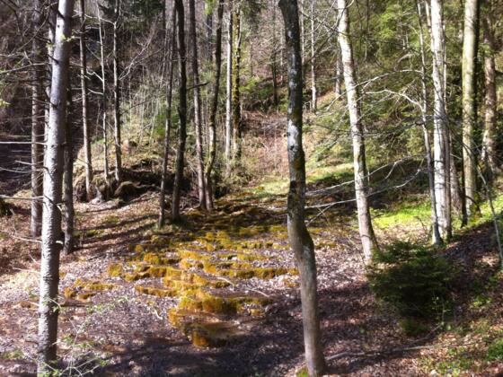 Stufen der Kalkterrassen