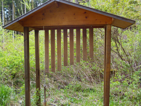 Naturinstrumente wie das Xylophon stimmen auf den Wald ein.