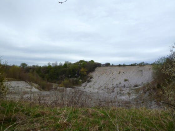 Kiesgrube an der Westenrieder Straße östlich von Huglfing.