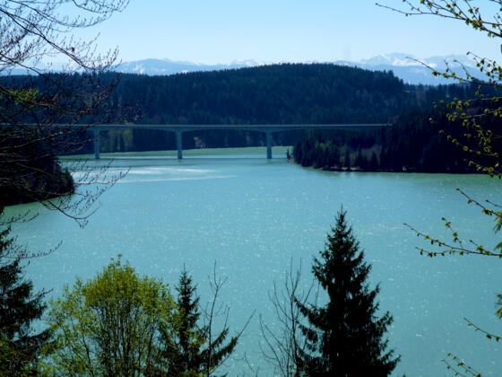 Westlich von Dornau bietet sich am Waldrand ein eindrucksvoller Blick auf die Lechtalbrücke hoch über dem Lech und die dahinter emporragende Alpenkette.