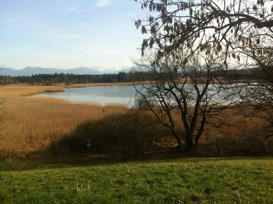 Der Gartensee vor einem malerischen Alpenpanorama