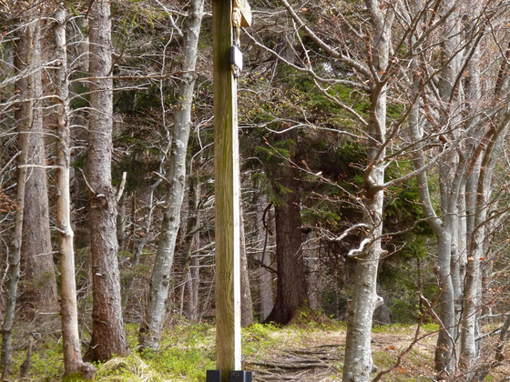 Kreuz auf einer kleinen Lichtung am steilen Weg zwischen der Ammer und dem Schnalz-Gipfel.