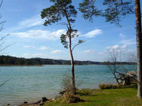 Malerischer Badeplatz am südlichen Ostufer des Großen Ostersees.