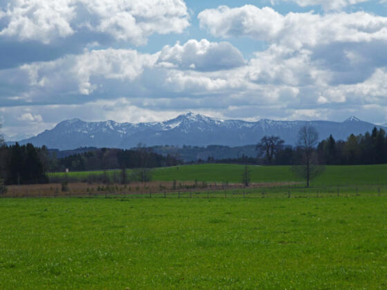 Am Waldrand auf der Ostseite des Pollinger Weihers eröffnet sich ein grandioser Blick auf die Alpenkette.