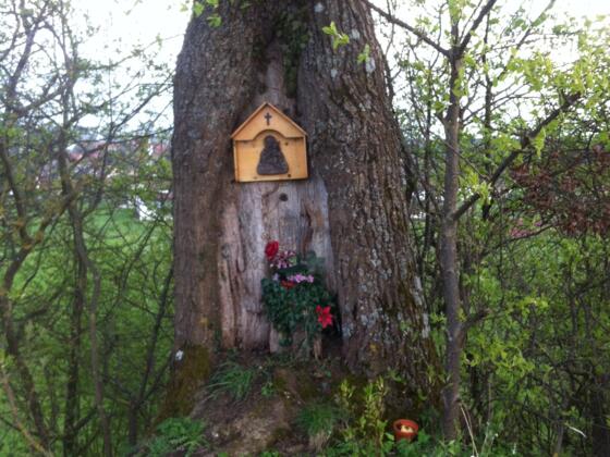 Bildnis in einem Baum