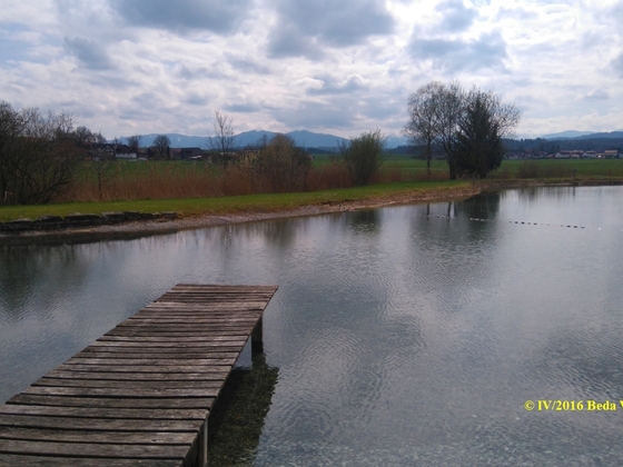 Blick über den Badeweiher nach Süden