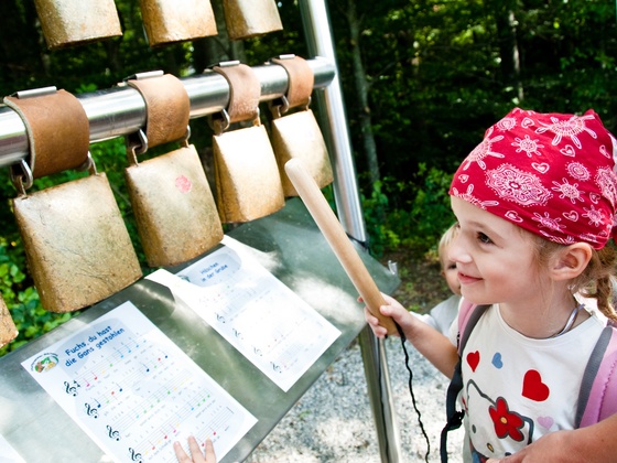 Kuh-Glocken-Spiel am Pfaffenwinkler Milchweg