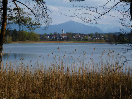 Vom Nordufer des Fohnsees bietet sich ein herrlicher Blick auf Iffeldorf.