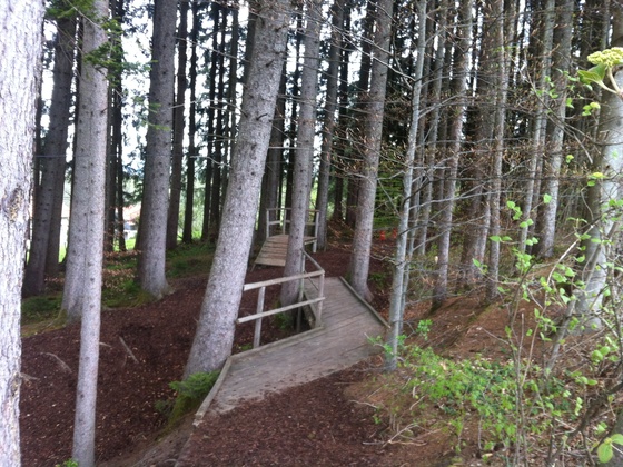 Ein Pfad und Holzbrücken führen direkt zum Spielplatz