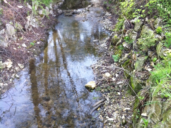 Der Angerbach in Deutenhausen