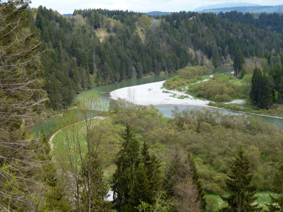 In der Litzauer Schleife ist der Lech noch wild und unverbaut.