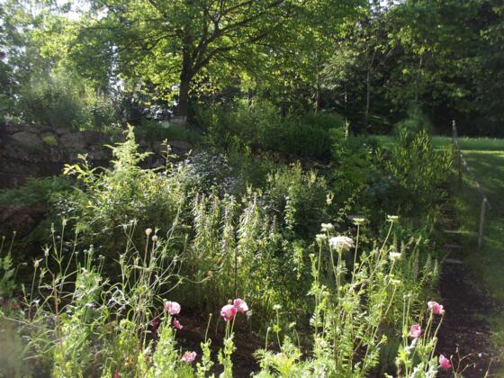 Wieshof Heilpflanzenlehrgarten