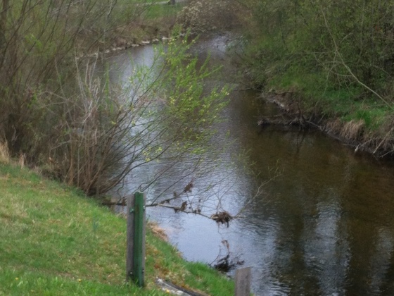 Die Eyach bei Kreilhof