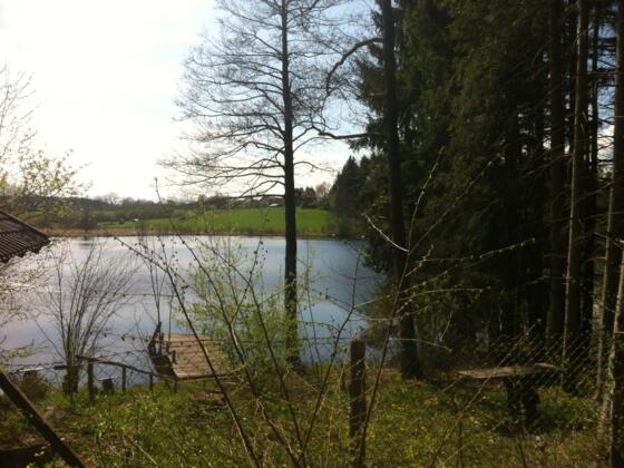 Im Wald versteckt liegt der Neuer Weiher