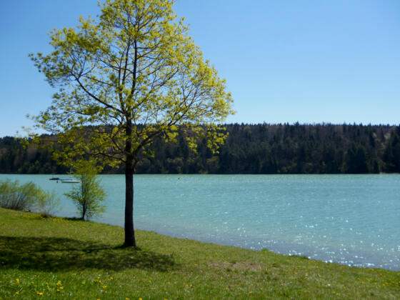 Das Lechbad Lido - ein beliebter Badestrand am Lechstausee südlich von Schongau.