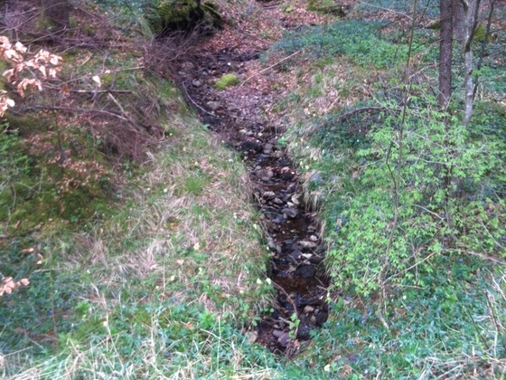 Gewässer am Wegesrand