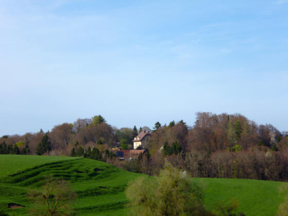 Wenig östlich von Eichendorf eröffnet sich ein schöner Blick auf das Schloss Hohenberg, das auf dem gegenüberliegenden Buckelsberg thront.