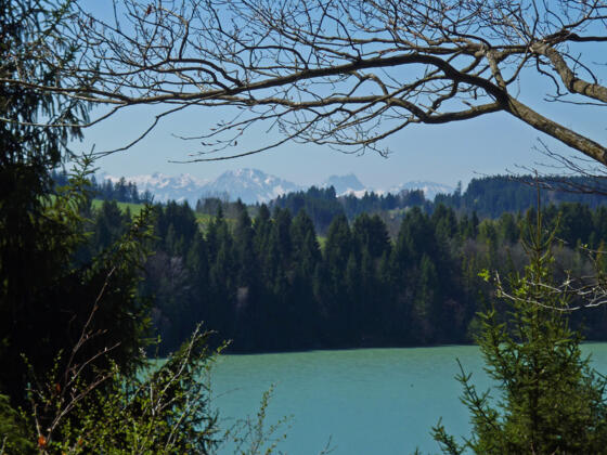 Wunderschöner Blick vom Rand der Heidewiese auf den Lech und die Alpenkette.