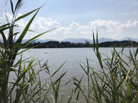 Schmuttersee bei Sameister