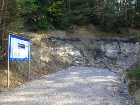 Infotafel am Uhlenberg - im Hintergrund die schwarze Kohleschicht