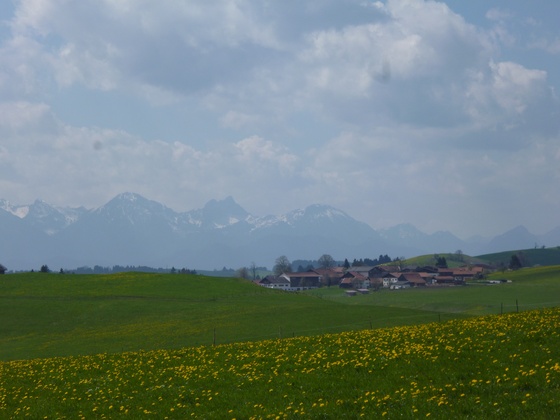 Südlich von Fronreiten bietet sich ein herrlicher Blick auf die Tannheimer und Allgäuer Alpen.