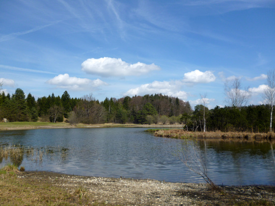 Idylle pur am Westufer des Frechensees.