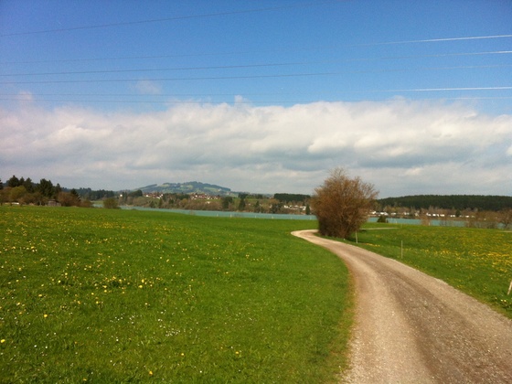 Weg zum türkisblauen Lechstausee