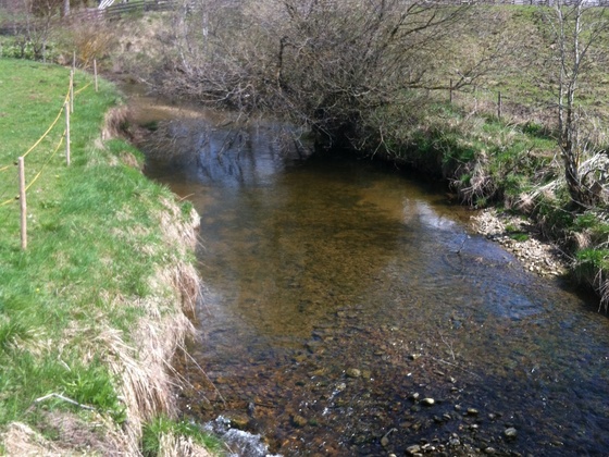 Der Aubach in Steingaden