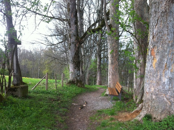 Wegkreuz am Gagräsgraben