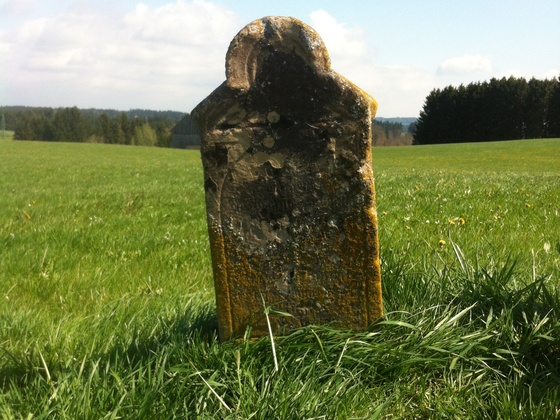 Inmitten der saftigen Wiesen befindet sich das kleine Wegkreuz