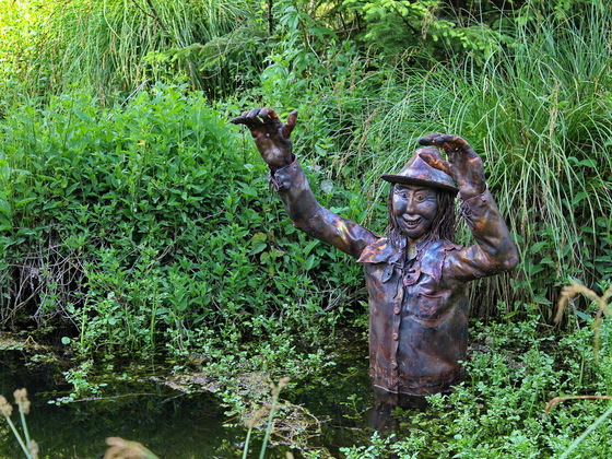 Huidingerle am Premer Moorlehrpfad