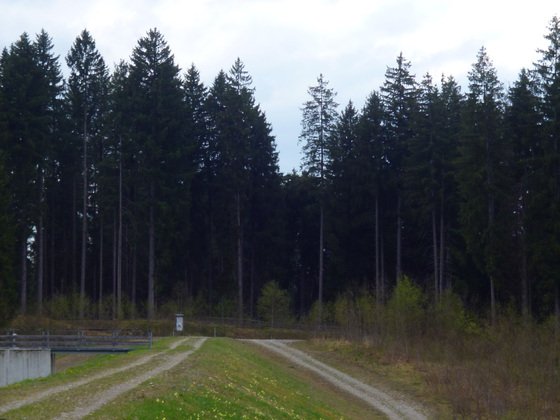 Der Damm am Viehweidsee dient dem Hochwasserschutz.