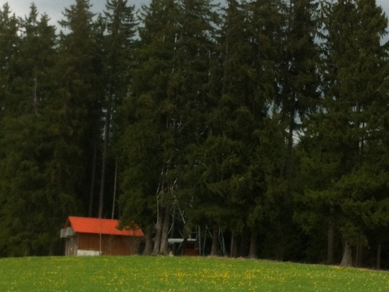 Turm am Brunnhäuslwald