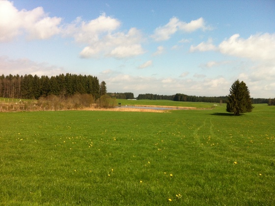 Blick auf den Hofsee