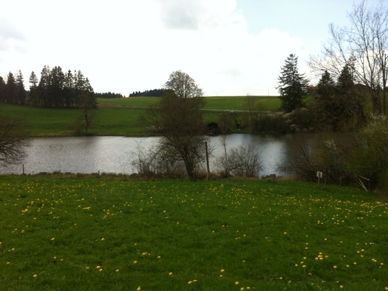 Der Grabensee bei Steingaden