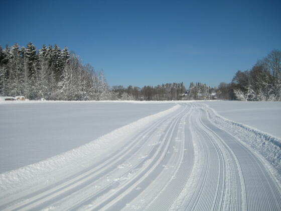 Verbindungsloipe Bad Kohlgrub Saulgrub