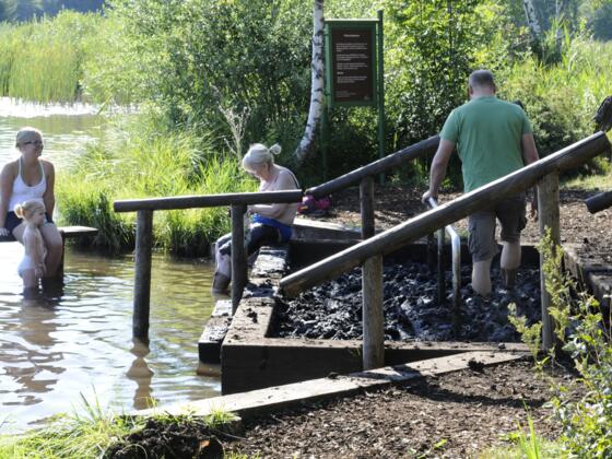 Kneippen im neuen Moortretbecken