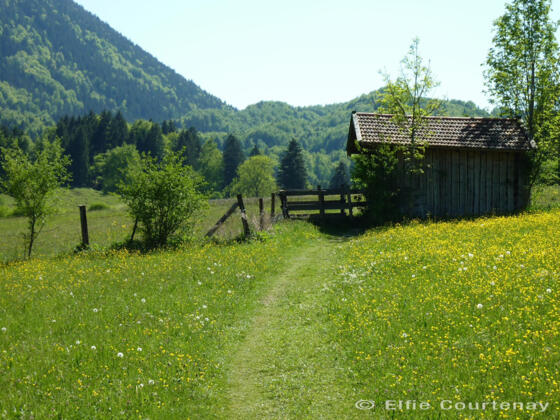 Fernwanderweg - Meditationsweg, 5. Etappe - Fußweg bei Ohlstadt