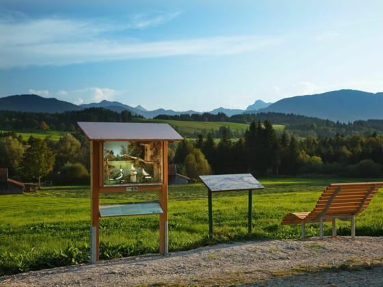 Schaukasten mit Panoramaliege am Vogellehrpfad Bad Bayersoien
