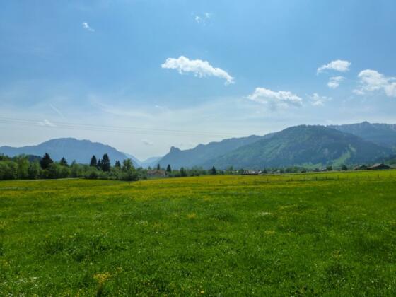 Frühling im Ammertal