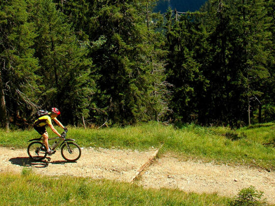 Mountainbiketour - Waldalm Runde