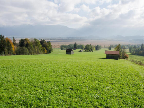 Fernwanderweg - Meditationsweg, erste Etappe - Blick auf das Murnauer Moos
