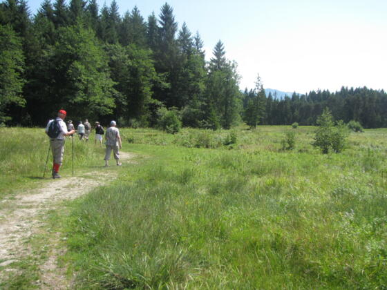 Auf der Haselbachrunde in Bad Bayersoien