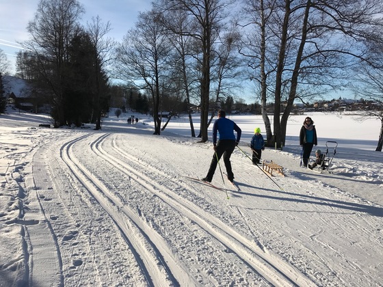 Langlaufloipe Seerunde Bad Bayersoien