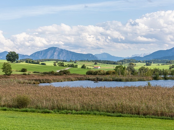 Der malerische Riegsee im Blauen Land