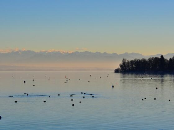 Blick über den Ammersee