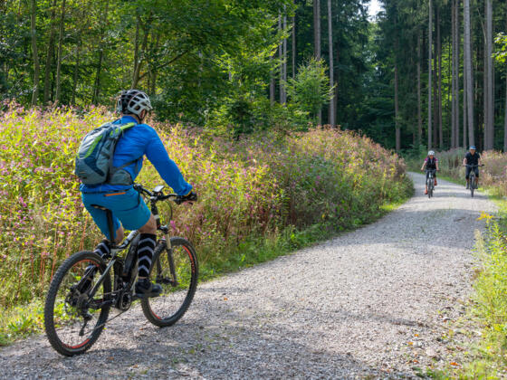 Radfahren im Landkreis Fürstenfeldbruck
